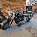 Harley Davidson Fatboy Softtail, Particulier