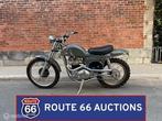 Métisse Triumph Desert Racer | 1964 | Route 66 Auctions, Triumph, Zwart, Bedrijf, Handgeschakeld