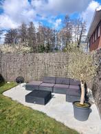 Tuin lounge meubel Vida Xl, Tuin en Terras, Ophalen, Gebruikt, Kunststof, Loungeset