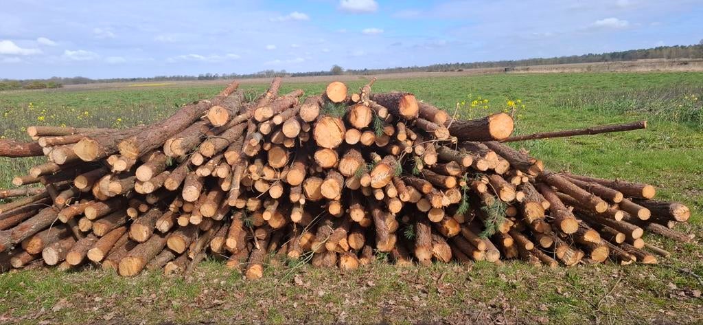 Den en wilg stammen, Enlèvement ou Envoi, Troncs d'arbres