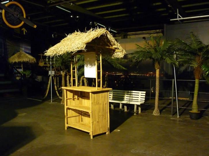 Tiki bar, Huis en Inrichting, Barren, Ophalen