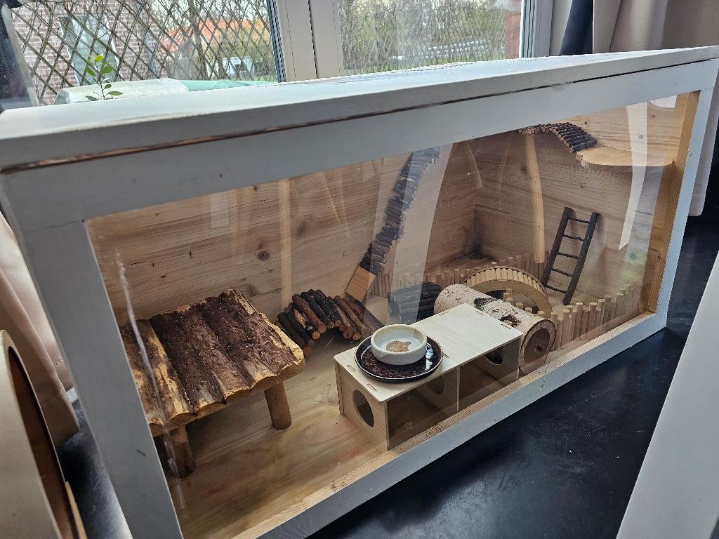 Terrarium pour hamster, Animaux & Accessoires, Rongeurs & Lapins | Cages & Clapiers, Souris, Moins de 60 cm, 75 à 110 cm, Cage