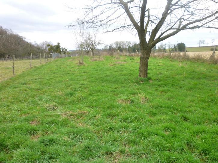 Prairie avec abri pour moutons. Gratuit, Animaux & Accessoires, Box & Pâturages, Pâturage