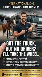 Freelance C+E Driver – International Vehicle & Horse Transp., Services de chauffeur