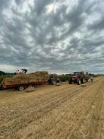 Mooi goud stro 2 euro 50