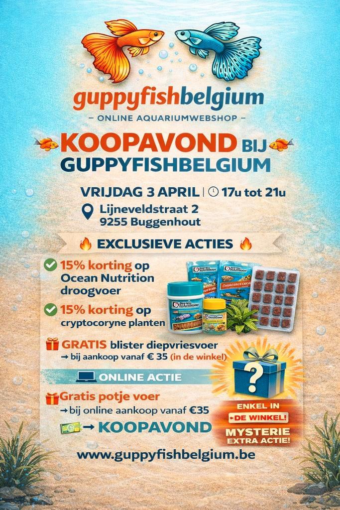 Koopavond 3 april, Dieren en Toebehoren, Vissen | Aquariumvissen, Zoetwatervis, Vis, Schoolvis