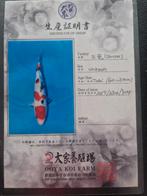 Koi vissen te koop, waarvan 2 met certificaat, Karper of Koi