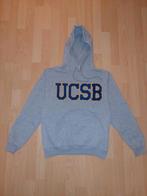 Grijze Hoodie UCSB | Carolina University | Small, Vêtements | Femmes, Pulls & Gilets, Enlèvement ou Envoi