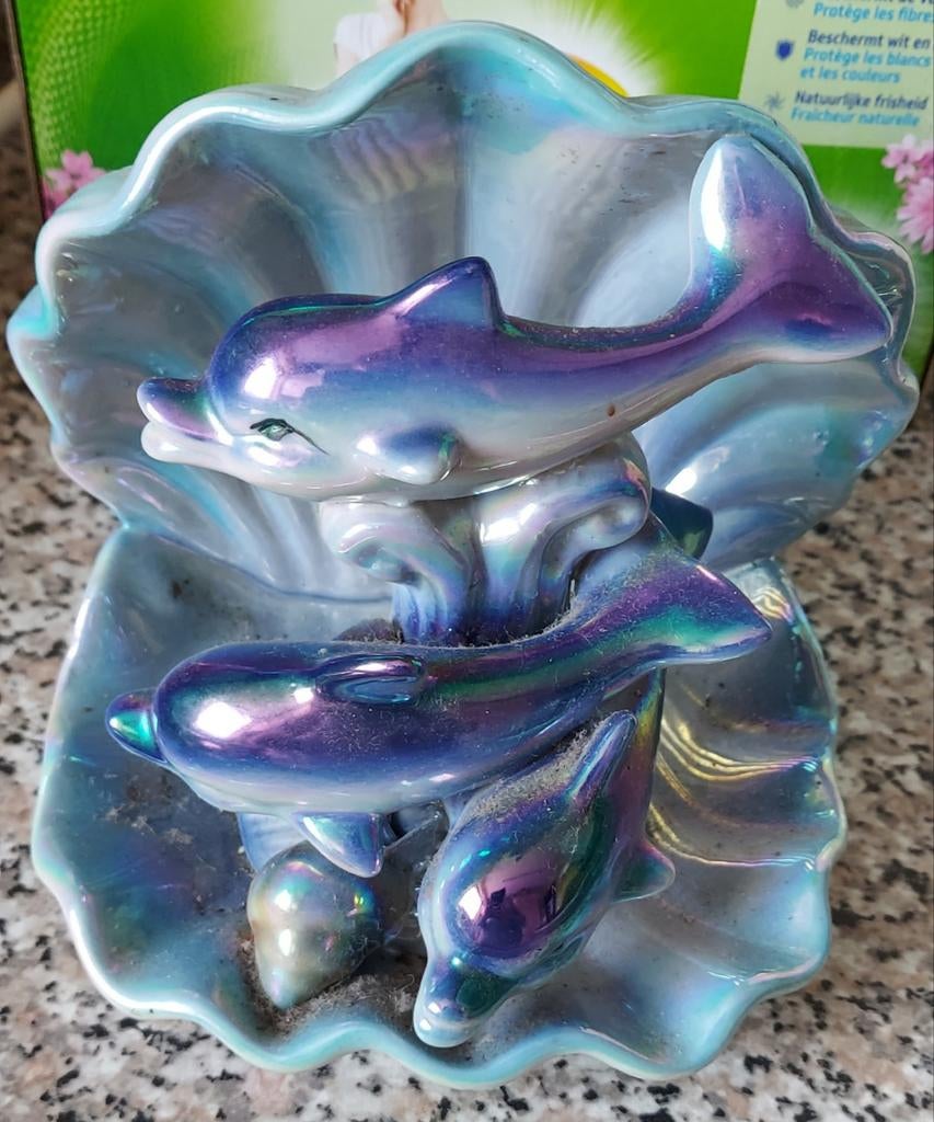 Coquillage dauphin, Ophalen of Verzenden