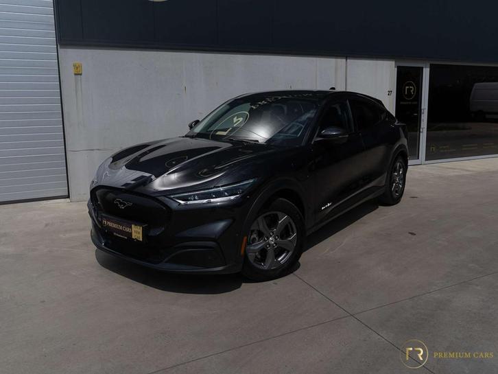 Ford Mustang Mach-E 99 kWh l Extended Range l Pano l 360 l, Autos, Ford, Entreprise, Achat, Mustang, Caméra 360°, ABS, Régulateur de distance