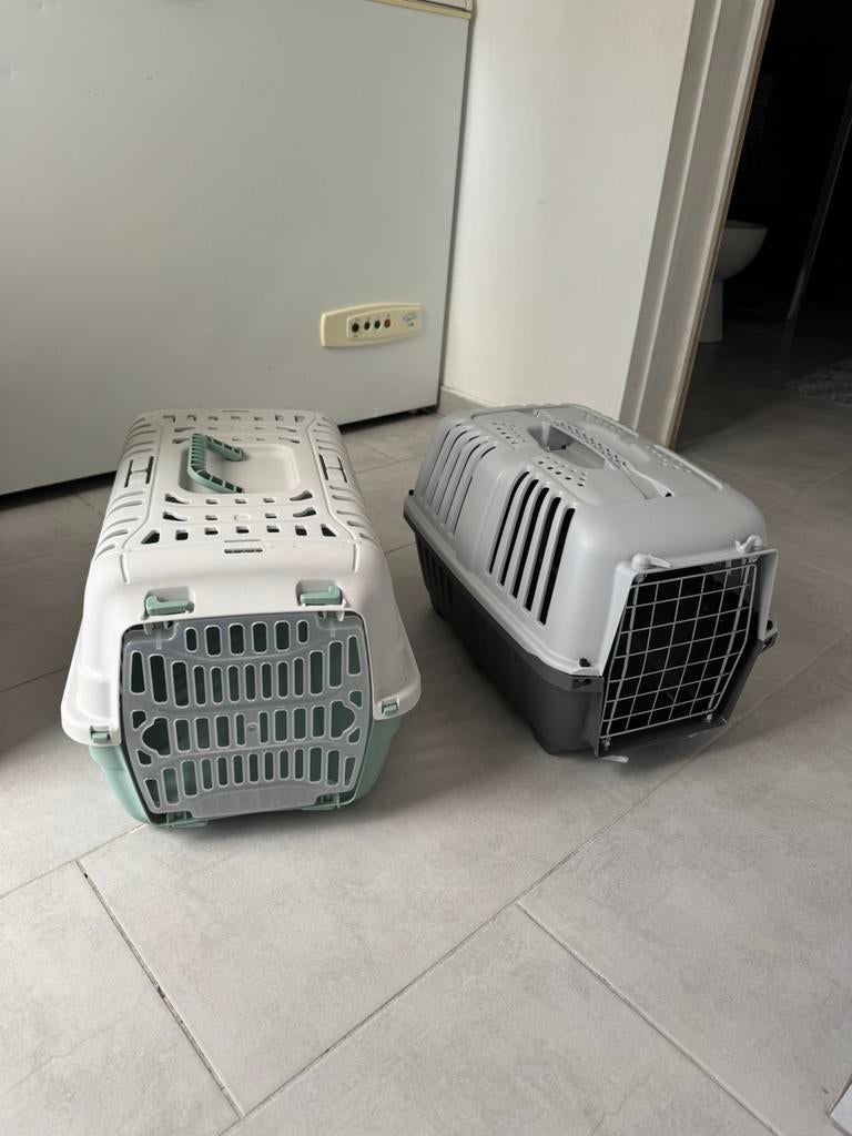 Cage de transport pour chat, Animaux & Accessoires, Enlèvement, Comme neuf