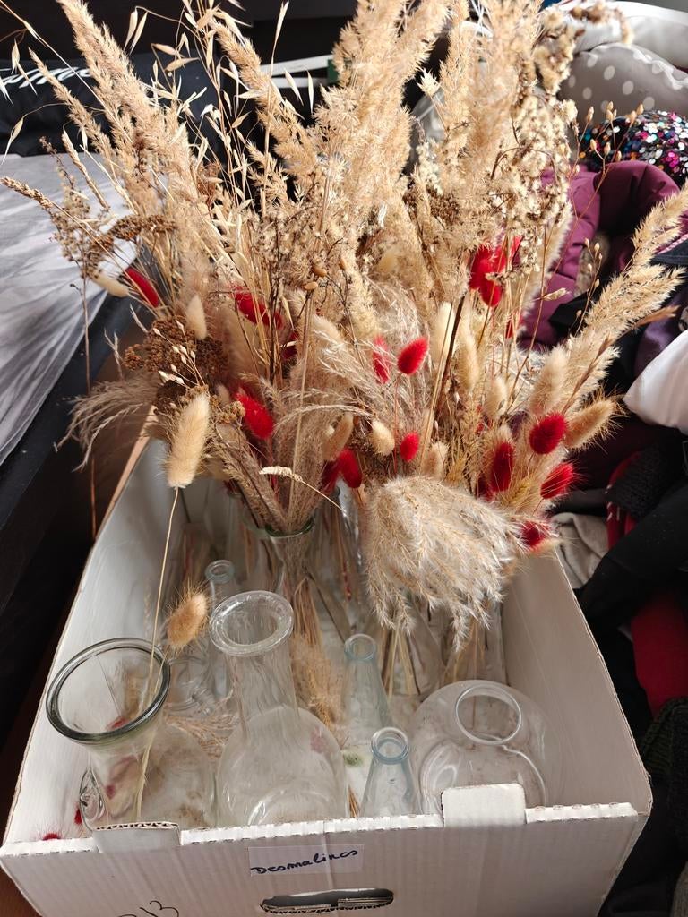 Vazen met en zonder droogbloemen, Ophalen