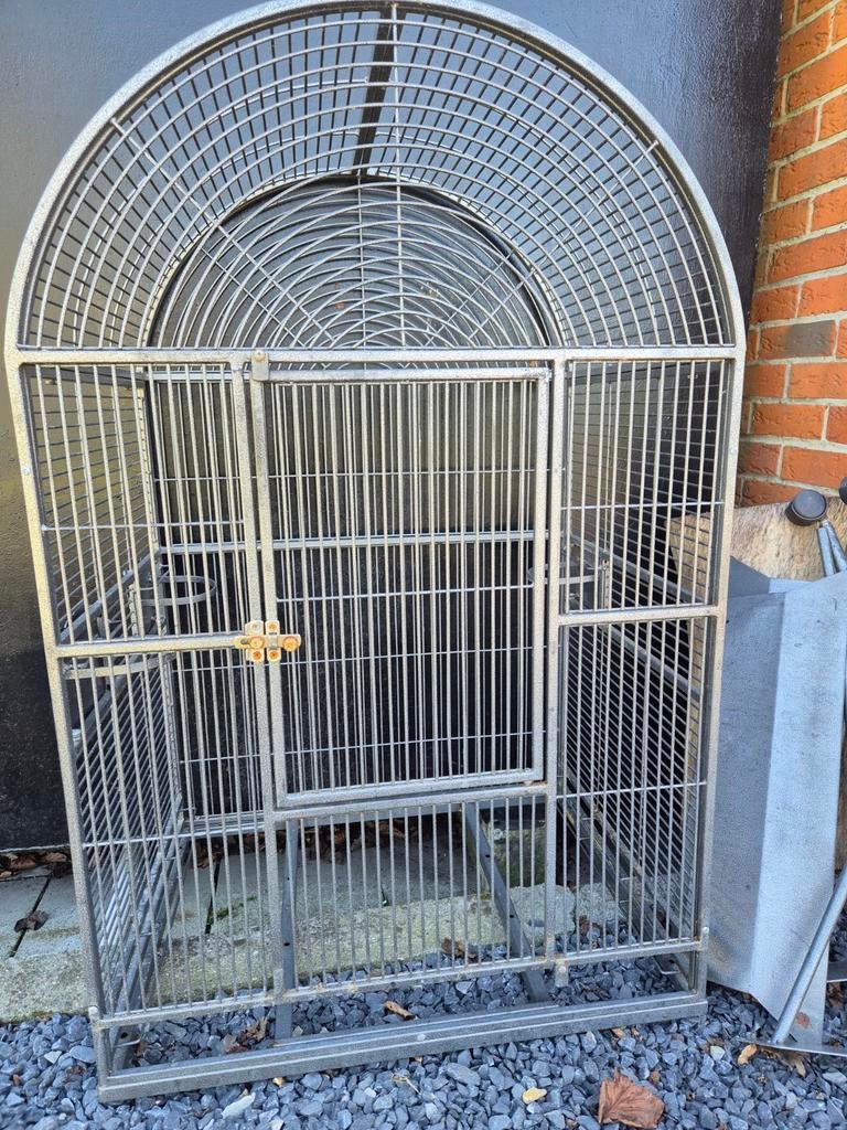 Cage pour perroquet, Enlèvement, Métal