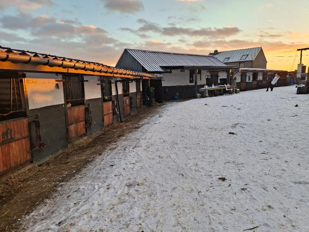 Boxe a louer, Sport en Fitness, Boksen, Nieuw, Overige, Ophalen of Verzenden