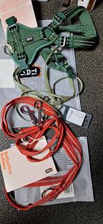 Honden tuig + leiband, Enlèvement ou Envoi, Neuf, Laisse pour chien