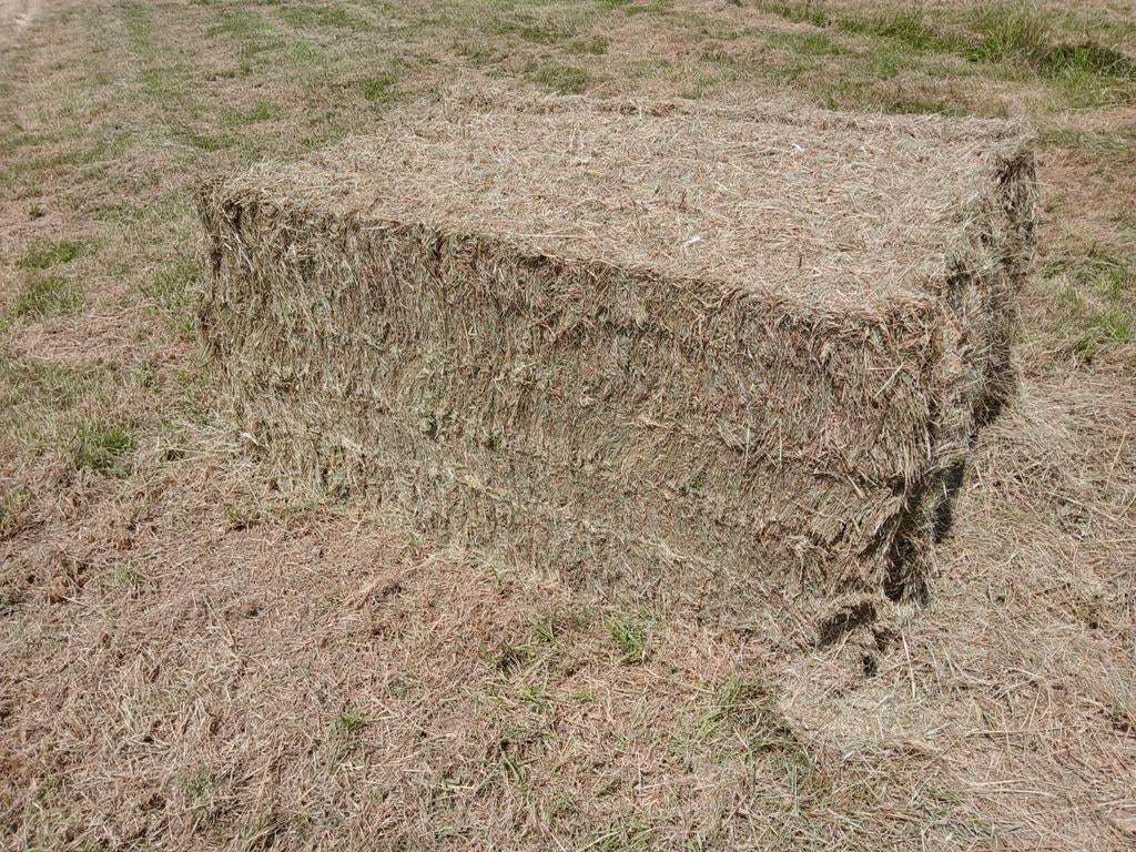 Ballots de foin BIO 2025, Articles professionnels, Agriculture | Aliments pour bétail, Enlèvement