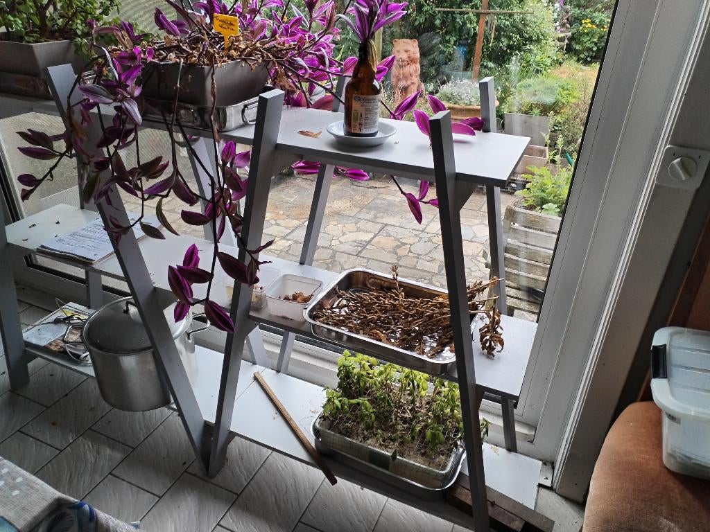 planten rek, Tuin en Terras, Ophalen, Zo goed als nieuw, Hout, Binnen