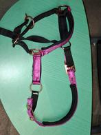 Diverse halsters, Dieren en Toebehoren, Ophalen of Verzenden