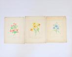 3 gravures de fleurs, +/- 1755, Enlèvement ou Envoi