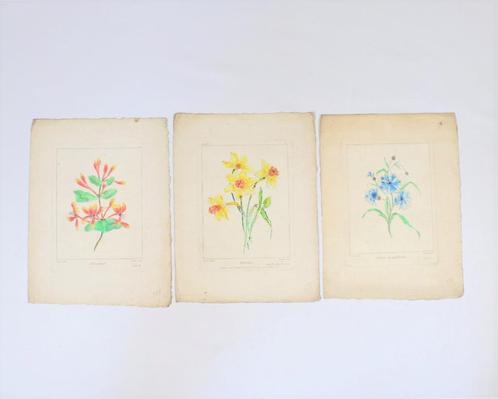 3 gravures de fleurs, +/- 1755, Antiquités & Art, Art | Eaux-fortes & Gravures, Enlèvement ou Envoi