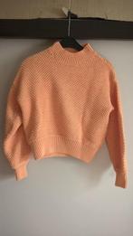 pull, Kleding | Dames, ANDERE, Ophalen of Verzenden, Gedragen, Oranje