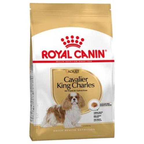 Royal Croquettes Canin Cavalier King Charles Adult pour chie, Animaux & Accessoires, Nourriture pour Animaux, Chien, Enlèvement ou Envoi