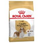 Royal Croquettes Canin Cavalier King Charles Adult pour chie, Dieren en Toebehoren, Hond, Ophalen of Verzenden