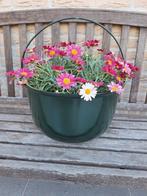 metalen bloembak heksenketel, Tuin en Terras, Ophalen of Verzenden, Nieuw, Metaal, Balkon