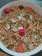 Sensory play set herfst en Halloween, Ophalen, Nieuw
