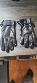 Dameshandschoenen moto, Motoren, Kleding | Motorkleding, Ophalen
