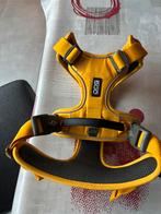 Alles nieuwe dogcopgen, Dieren en Toebehoren, Hondenriemen, Ophalen, Nieuw