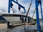 Saver 750WA avec mercure 250 ch, Sports nautiques & Bateaux, Bateaux de pêche & à console, 6 mètres ou plus, Comme neuf, Enlèvement