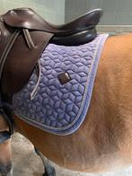 Kentucky dekje, Ophalen, Zo goed als nieuw, Dressuur