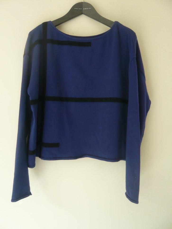 Sarah Pacini blauwe en zwarte trui als nieuw, Kleding | Dames, Truien en Vesten, Zo goed als nieuw, Blauw, Ophalen of Verzenden