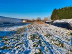 stuk grond met tunnelserre te huur in onze lieve vrouw waver, Animaux & Accessoires, Box & Pâturages