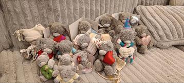 Lot my to you beren te koop  beschikbaar voor biedingen