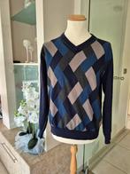 TERRE BLEUE heren, Kleding | Dames, Truien en Vesten, Ophalen of Verzenden, Zo goed als nieuw