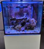 Leeg zeeaquarium, Ophalen, Gebruikt, Leeg aquarium