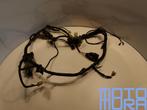 Kabelboom voor Honda CB 600 F 2003 - 2006 PC36 Hornet draadb, Motoren, Ophalen of Verzenden, Gebruikt