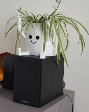 Planten potje beschikbaar voor biedingen