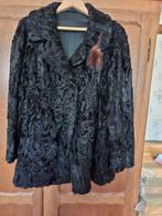 Astrkan damesjas, Kleding | Dames, Ophalen, Gedragen, Maat 46/48 (XL) of groter, Zwart