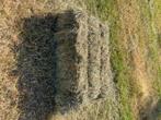 Kleine balen hooi te koop, Dieren en Toebehoren, Ophalen of Verzenden