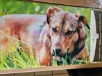 Nieuw tapijt afbeelding hond afm. 45 x 76 cm, Huis en Inrichting, Stoffering | Tapijten en Vloerkleden, Nieuw, Ophalen of Verzenden