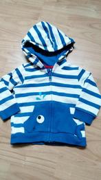gestreepte hoodie / vestje C & A maat 62  Nieuw, C&A, Truitje of Vestje, Nieuw, Ophalen of Verzenden