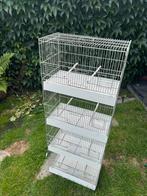 Bloc de 4 cages domus, Dieren en Toebehoren, Ophalen, Zo goed als nieuw