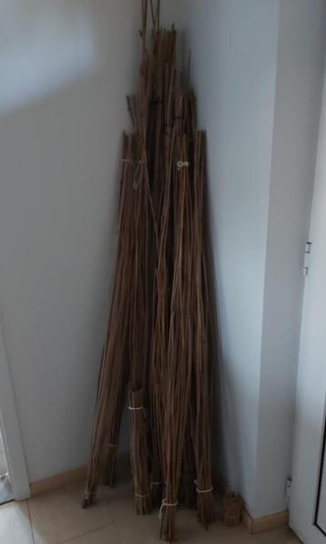 Voorraad bamboestokken max. 1,9 m lang