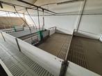 Hokinrichting voor biggen [414], Dieren en Toebehoren, Schapen, Geiten en Varkens