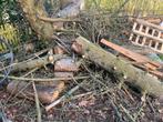 Gratis brandhout, Tuin en Terras, Brandhout, Ophalen, Overige houtsoorten, Stammen