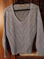 Lichtblauwe pull amelie amelie te dragen voor maat 38/40, Kleding | Dames, Ophalen of Verzenden, Maat 38/40 (M)