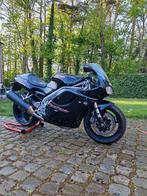 Triumph t595 daytona, Motoren, Sportuitlaat, 3 cilinders, Meer dan 35 kW, 955 cc